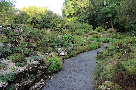 Spazierweg im Botanischen Garten
